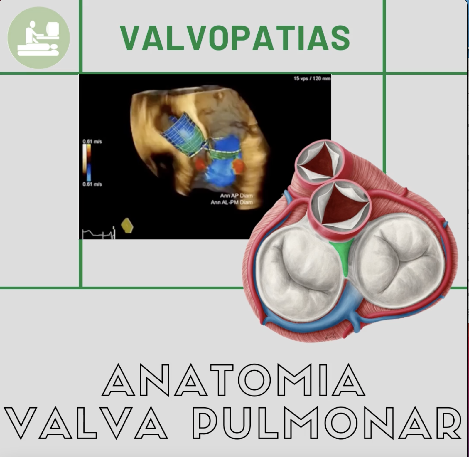 Anatomia pulmonar - Insuficiência pulmonar