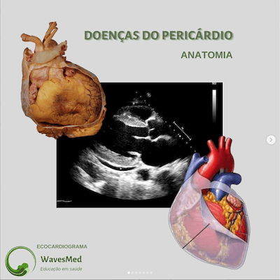 ANATOMIA DO PERICÁRDIO