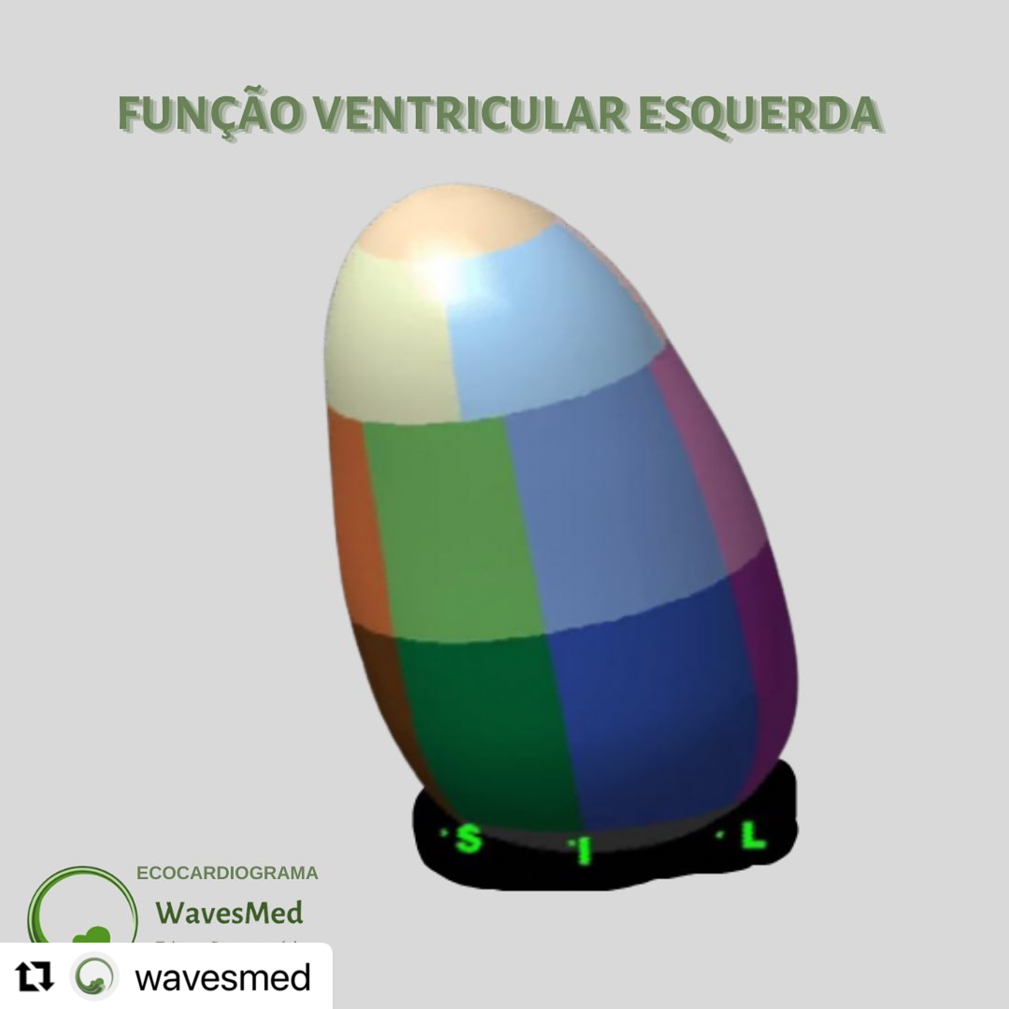 Função ventricular esquerda e mecânica ventricular