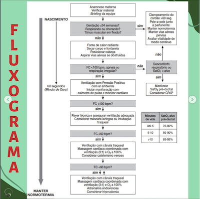 fluxograma atualizações reanimação neonatal 2022 wavesmed