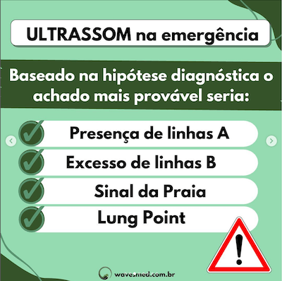 Linhas b lung point 1 usg tórax emergência-