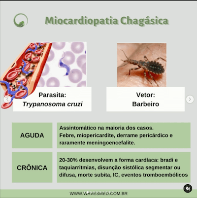 Aguda crônica ecocardiografia miocardiopatia chagásica wavesmed