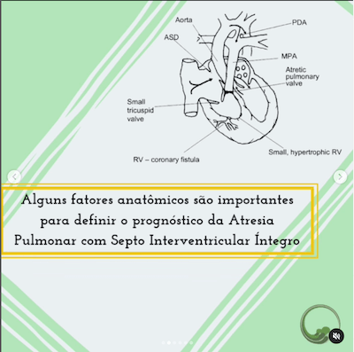 Fatores anatômicos atresia pulmonar com septo integro wavesmed