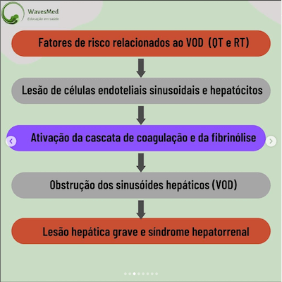 Fatores de risco doença veno oclusiva wavesmed