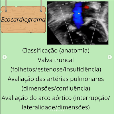 Ecocardiograma tronco arterial comum wavesmed