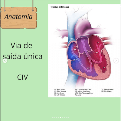 Anatomia tac tronco arterial comum wavesmed