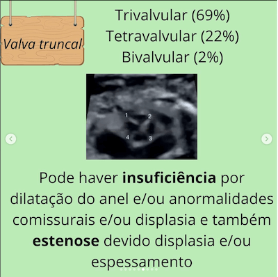 Valva truncal tronco arterial comum wavesmed