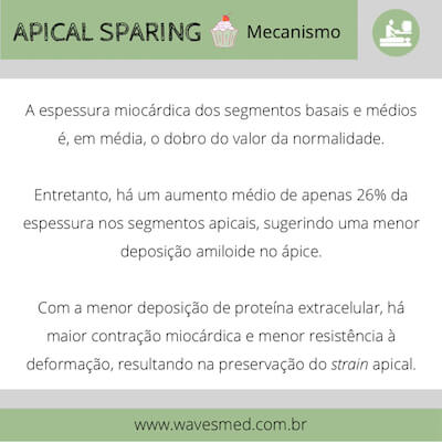 Mecanismo apical sparing amiloidose cardíaca wavesmed