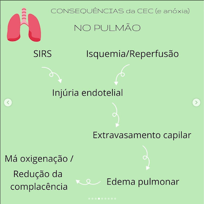 Consequências pulmonares circulação extracorpórea cec na cardiopatia congênita wavesmed