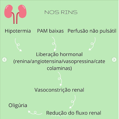 Consequências rins circulação extracorpórea cec na cardiopatia congênita wavesmed