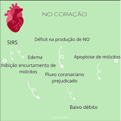 Consequências coração circulação extracorpórea cec na cardiopatia congênita wavesmed