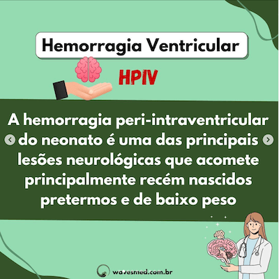 Hemorragia Peri Intraventricular USG Hemorragia Ventricular Neonatal Wavesmed