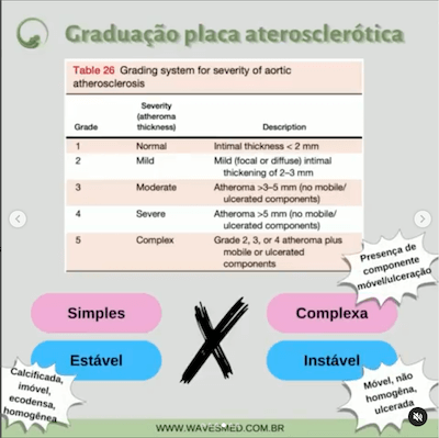 Graduação aterosclerose aorta Wavesmed