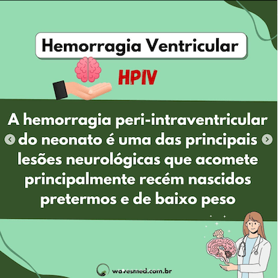 HPIV USG na hemorragia ventricular neonatal Wavesmed