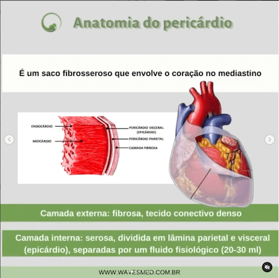 Mediastino anatomia pericárdio Wavesmed