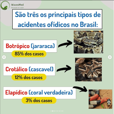 Tipos de acidentes acidente cobra Wavesmed