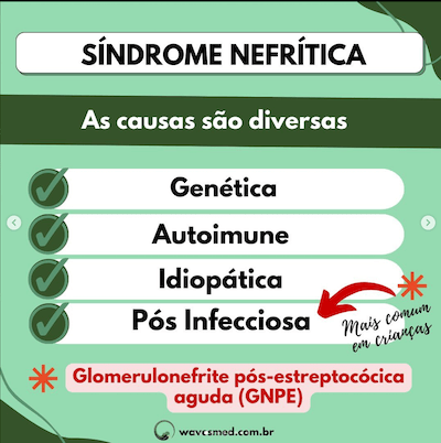 Causas Síndrome Nefrítica Pediatria Wavesmed