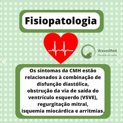 Fisiopatologia cardiomiopatia hipertrófica Wavesmed