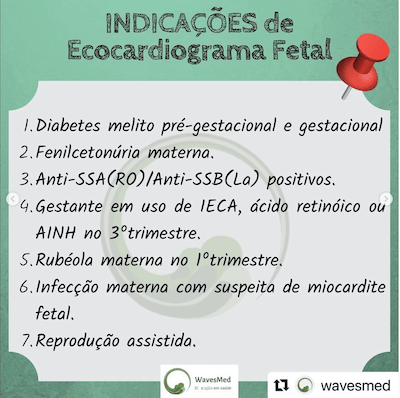 Indicações eco fetal indicações Wavesmed