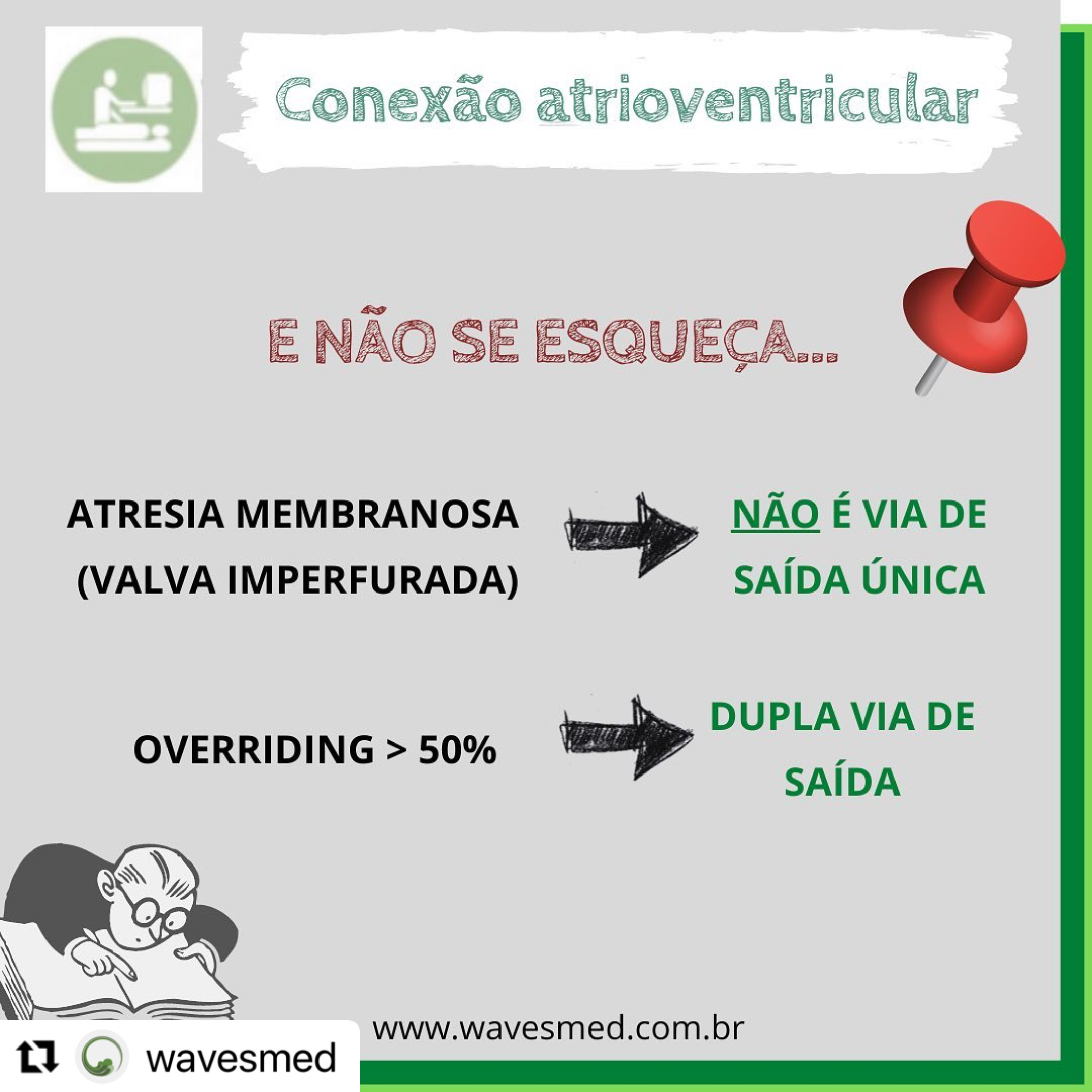 conexão atrioventricular wavesmed