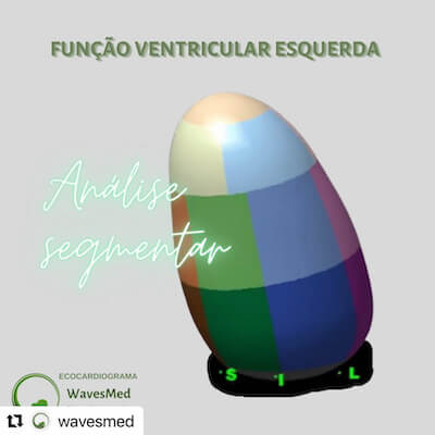 Função ventricular esquerda Wavesmed  análise segmentar ventrículo esquerdo  Bulls eye