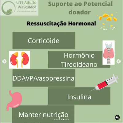 Morte encefálica: Como dar suporte até a doação?<br />  Wavesmed<br />  Suporte ao potencial doador cuidados intensivos hormonal