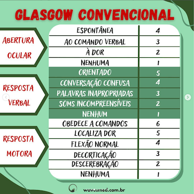 TCE em crianças Wavesmed  Escala de Glasgow convencional