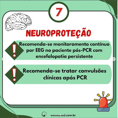 Monitoramento com EEG<br />  Atualizações PALS Parte 2 Wavesmed