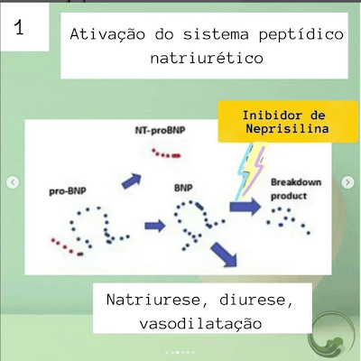 Fisiopatologia da Insuficiência Cardíaca Wavesmed<br />  Ativação do sistema pepitídico natriurético