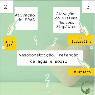 Fisiopatologia da Insuficiência Cardíaca Wavesmed<br />  Ativação do sistema renina angiotensina aldosterona (SRAA)