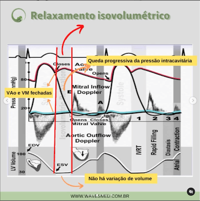 relaxamento isovolumétrico Função diastólica Wavesmed