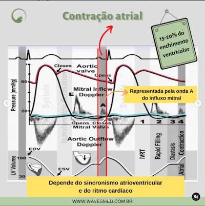 Contração atrial Função diastólica Wavesmed